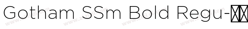 Gotham SSm Bold Regu字体转换
